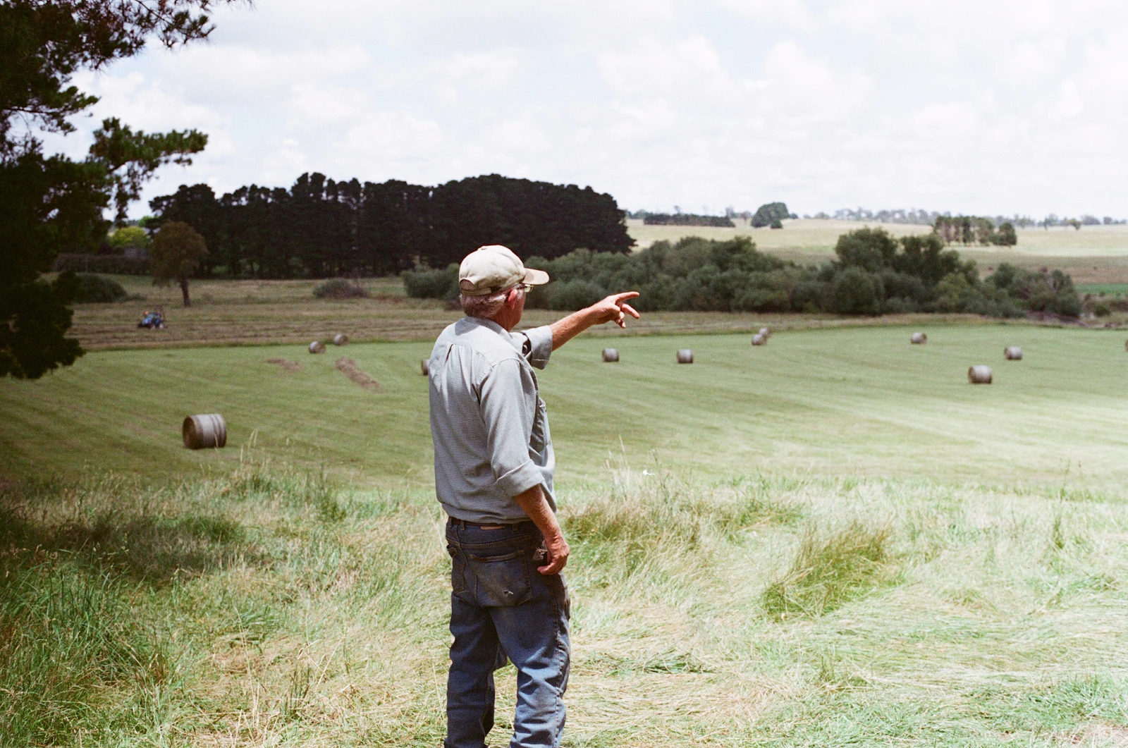 Person seen from behind pointing across a mown field of hay bales (no visible face)