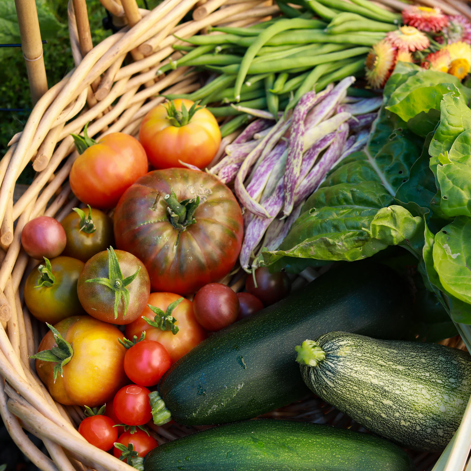 Freshly harvested vegetables gathered at the edge of a field