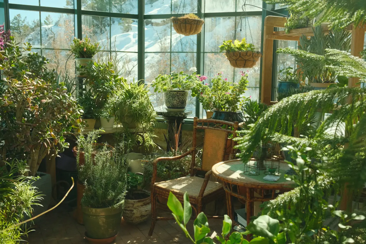 Interior of a commercial greenhouse with crops under a glazed roof
