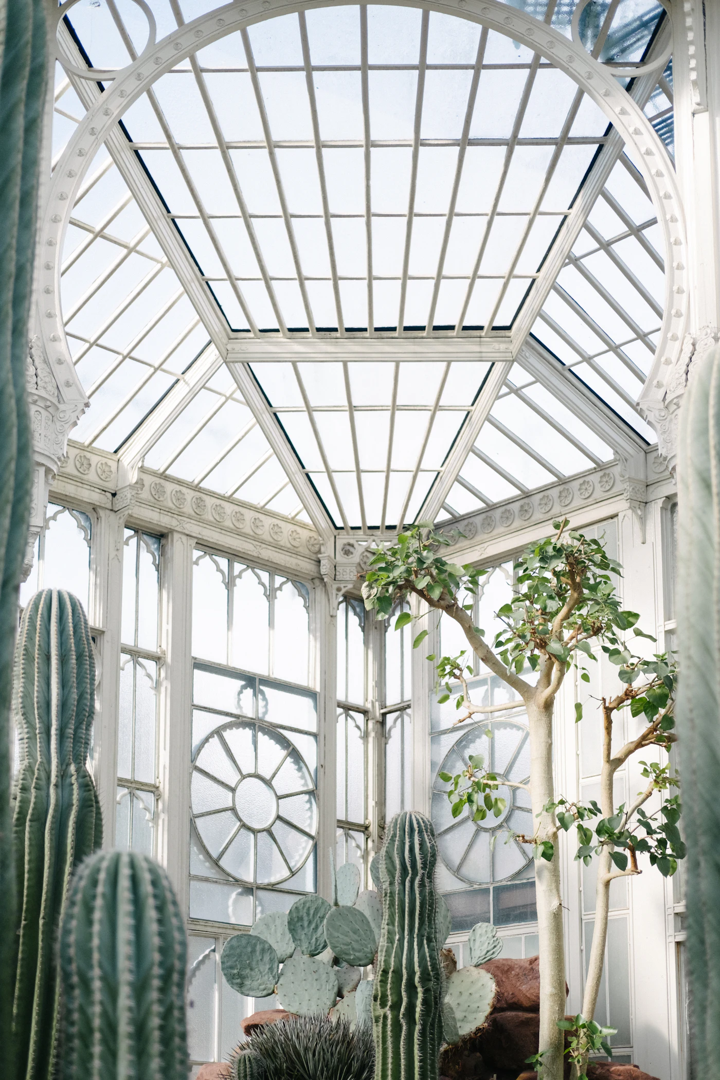 Long rows of potted plants receding down a protected greenhouse aisle