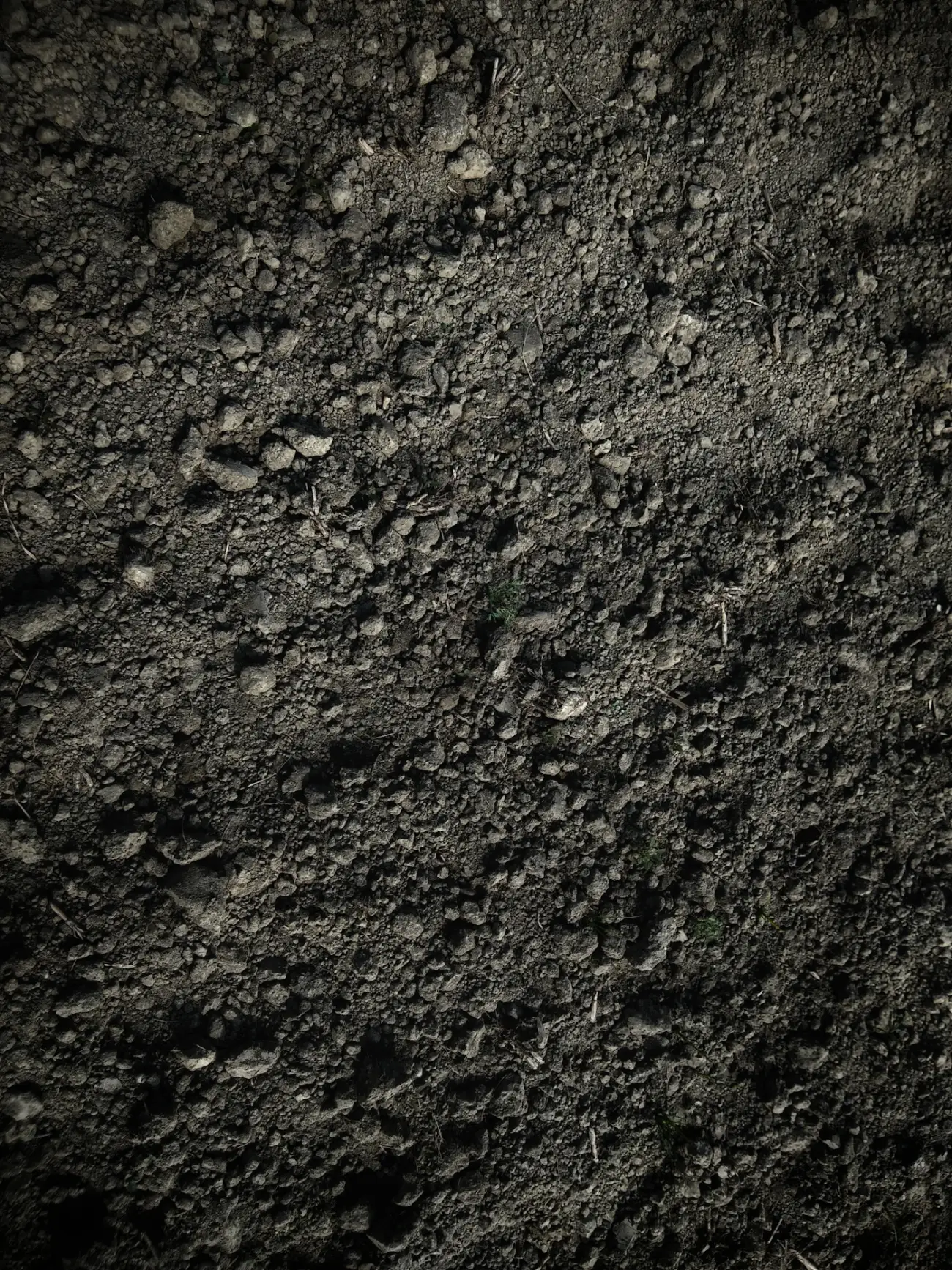 Close-up of crumbly, matured organic compost (portrait)